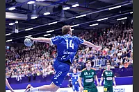 TBV Lemgo Lippe - TSV Hannover-Burgdorf - © Paul Cohen