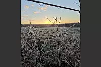Hier f&auml;llt der Blick auf den &ouml;stlichen Teutoburger Wald in der N&auml;he des D&ouml;renkrugs/Augustdorf. - &copy; Joachim Biere