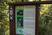 "NaturZeitReise" im Schwalenberger Wald. - © Silke Buhrmester