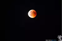 Blutmond &uuml;ber dem Staffpark in Lemgo - &copy; Nicole Frieburg und Matthias Riesenberg