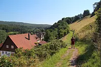 "NaturZeitReise" im Schwalenberger Wald. - © Silke Buhrmester