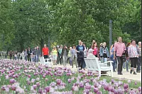 Das war die LZ-Sternwanderung 2018. - © Daniel Hobein