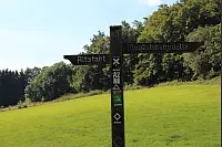 "NaturZeitReise" im Schwalenberger Wald. - © Silke Buhrmester