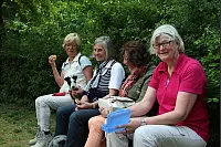 Rast mit Hund: (von links) Ursula Wiegel mit ihrem Jack Russel Terrier „Lilly“ , Bärbel Kottmann, Ursula von Scheven und Rita Siemer lernten sich während der Pause an der Bergkirchen kennen. - © Erol Kamisli