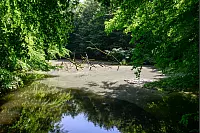 Biesterfelder Teich. - © Wolfgang Peters