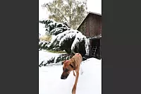 Impressionen aus dem Kreis - © Vera Gerstendorf-Welle