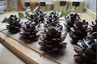 Die selbstgemachten Schoko-Tannenzapfen k&ouml;nnen als kleines Mitbringsel zu Weihnachten verschenkt werden. - &copy; Veronika Kinsfator