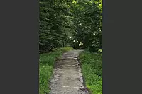 Wandern zum Lippischen Velmerstot und am Silberbach entlang. - © Janet König