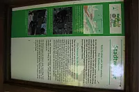 "NaturZeitReise" im Schwalenberger Wald. - © Silke Buhrmester