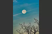 Supermond über Lippe - © Tessa