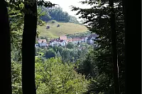 "NaturZeitReise" im Schwalenberger Wald. - © Silke Buhrmester