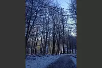 Winter - &copy; Leserfotos