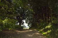 Familienwanderweg in Hörste - © Torben Gocke