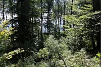 Wandern zum Lippischen Velmerstot und am Silberbach entlang. - © Janet König
