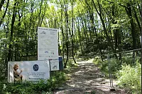 Die Falkenburg ist momentan leider nicht zu sehen und darf nur mit Begleitperson besichtigt werden. - © Freya Köhring