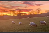 Winterhimmel über Lippe - © Martin Düsterberg