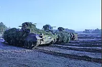 Mit Tanne bestückte Panzer - © Vera Gerstendorf-Welle