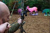 Bei der Publikumsmesse "Jagd und Hund" wird die Jagd mit dem Bogen gezeigt. Das Ziel ist dabei, anders als in der Natur, rosa eingefärbt. - © Bernd Thissen/dpa