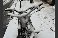Dass Schnee liegen bleibt, ist in Paris selten. - &copy; Rachel Sommer/dpa