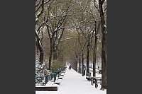 Der franz&ouml;sische Verkehrsminister hatte dazu aufgerufen, rund um Paris geplante Fahrten am Morgen zu verschieben. - &copy; Rachel Sommer/dpa