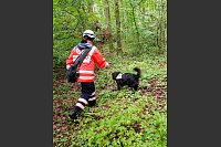 Polizei sucht mit Gro&szlig;aufgebot nach vermisstem M&auml;dchen - &copy; Henning Kaiser/dpa
