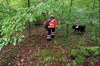 Polizei sucht mit Gro&szlig;aufgebot nach vermisstem M&auml;dchen - &copy; Henning Kaiser/dpa