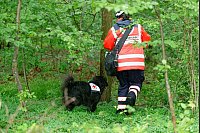 Polizei sucht mit Gro&szlig;aufgebot nach vermisstem M&auml;dchen - &copy; Henning Kaiser/dpa