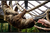 Die Mama nimmt das Ganze gelassen. - &copy; Philipp Schulze/dpa