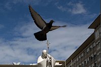Papst Franziskus im Krankenhaus: Eine Taube fliegt vor der Statue von Johannes Paul II. vor der Poliklinik Agostino Gemelli. - © Alessia Giuliani/IPA via ZUMA Press/dpa