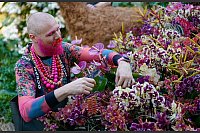 Kew Orchid Festival: Gärtner vollendet farbenprächtige Peru-Ausstellung in London - © Andrew Matthews/PA Wire/dpa