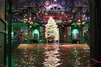 Weihnachtsbaum im Wasser - Hamburger Fischmarkt überflutet - © Bodo Marks/dpa