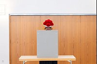 Im Bollenhut da wält's sich gut: Eine junge Frau steht in traditioneller Schwarzwälder Tracht mit Bollenhut in einer Wahlkabine in Gutach im Schwarzwald. - © Philipp von Ditfurth/dpa