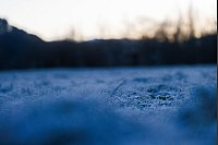 Frostiges Wetter in Freiburg - © Philipp von Ditfurth/dpa