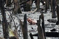 Auf der Suche nach Verwertbarem. - © Aaron Favila/AP