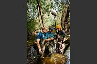 Für Familien gemacht: Auf den Steig dürfen alle ab fünf Jahren. - © Thomas Linkel/erlebe.bayern/dpa-tmn