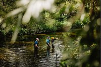 Ein Stahlseil ist im Fluss gespannt - wie bei einem Klettersteig bietet es zusätzlichen Halt. - © Thomas Linkel/erlebe.bayern/dpa-tmn