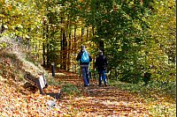 Wandern am Hennesee im Sauerland. - © Thomas Banneyer/dpa