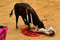 Ob man es mag oder nicht, beim Sanfermín-Fest geht es um den Kampfstier und eine Einzigartigkeit: Man setzt sein Leben aufs Spiel, um das Leben des Tieres zu fordern, msytisch, wild, schön, schreibt die Zeitung "La Vanguardia". - © Alvaro Barrientos/AP/dpa