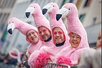 Als Flamingos verkleidete Karnevalisten feiern beim Karnevalsumzug «Ossensamstag» in Osnabrück. - © Friso Gentsch/dpa