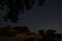 Ein Meteor beim Eintritt in die Erdatmosphäre hinter Zedernbäumen in Gavdos, Griechenland. - © Petros Giannakouris/AP/dpa