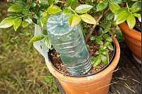 Schritt 3: Die Flasche kopfüber in die Erde stecken. - © Christin Klose/dpa-tmn