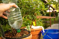 Nach bereits sechs Stunden war die Plastikflasche leer. - © Christin Klose/dpa-tmn