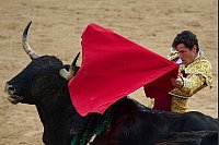 Die Stierläufe finden in Pamplona morgens, die Kämpfe abends statt. - © Miguel Oses/AP/dpa