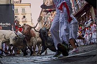 Die «Sanfermines» sind dem Stadtheiligen San Fermín gewidmet. - © Miguel Oses/AP/dpa