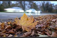 Herbstlaub liegt auf einem Gehweg vor einer Straße, auf der im morgendlichen Berufsverkehr die Autos fahren. - © Bernd Weißbrod/dpa