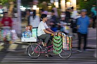 «Starling»-Fahrer gehören zum Stadtbild von Jakarta dazu. - © Tatan Syuflana/AP