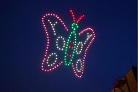 200 Drohnen zauberten auch einen Schmetterling an den Düsseldorfer Nachthimmel - © David Young/dpa