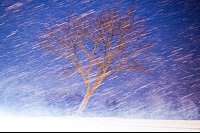 Mit langen Belichtungszeiten werden bei Wind und Sturm Bewegungen sichtbar. - &copy; Julian Stratenschulte/dpa/dpa-tmn