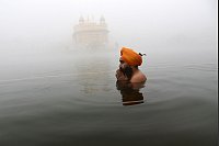 Sikh-Festival in Indien: Ein Sikh-Anhänger betet im Teich, der den Goldenen Tempel umgibt. - © Prabhjot Gill/AP