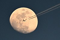 Ein Flugzeug fliegt vor dem zunehmenden Mond über dem Stadion beim Spiel des FC Barcelona gegen Borussia Dortmund. - © Federico Gambarini/dpa